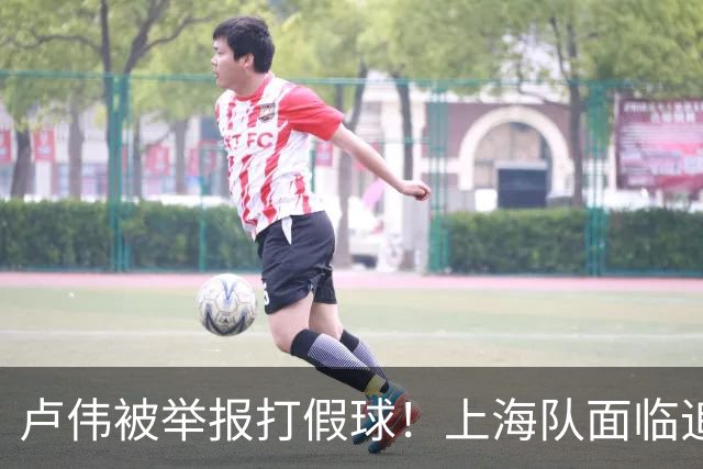 卢伟被举报打假球！上海队面临追罚，张镇麟坑惨球队